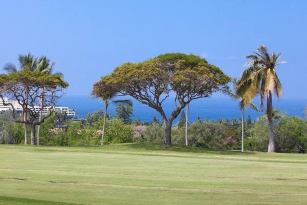 Beautiful 2/2 Condo In Kailua Kona. Ocean View! Kültér fotó